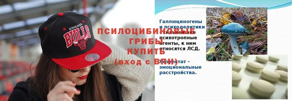 ГАЛЛЮЦИНОГЕННЫЕ ГРИБЫ Навашино