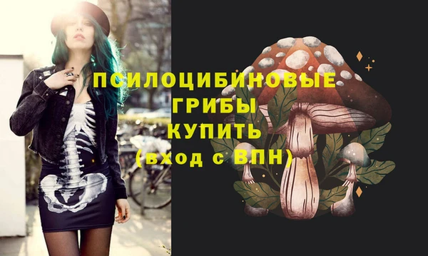 ГАЛЛЮЦИНОГЕННЫЕ ГРИБЫ Навашино