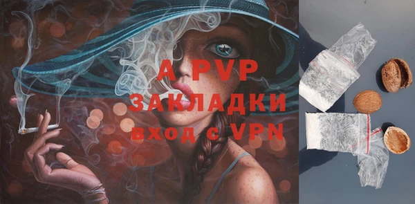 ГАЛЛЮЦИНОГЕННЫЕ ГРИБЫ Навашино