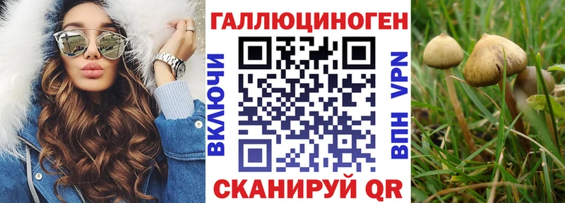 Псилоцибиновые грибы Psilocybe Пыталово