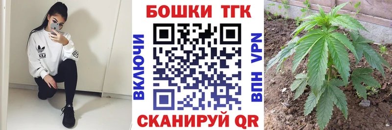 закладка  Пыталово  Каннабис сатива 